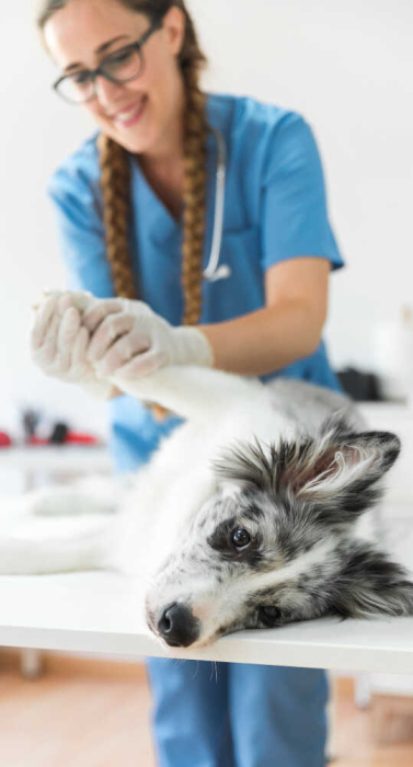 2147928401_optimized