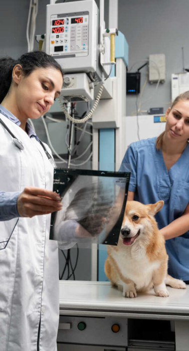 2149198637_optimized