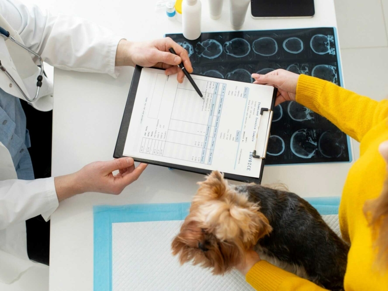 cute-dog-consultation_23-2149314384_optimized